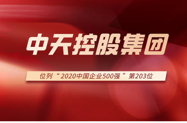 东升国际集团列2020中国企业500强第203位！